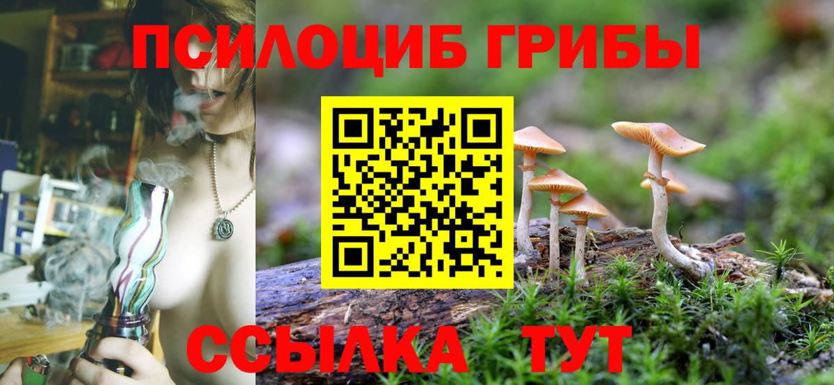 Кизилюрт  Галлюциногенные грибы Magic Shrooms  Вход с VPN 