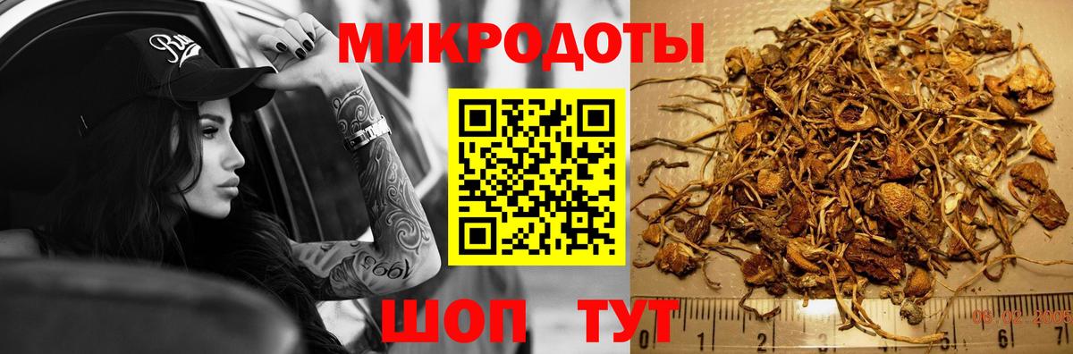 Галлюциногенные грибы мухоморы Кизилюрт